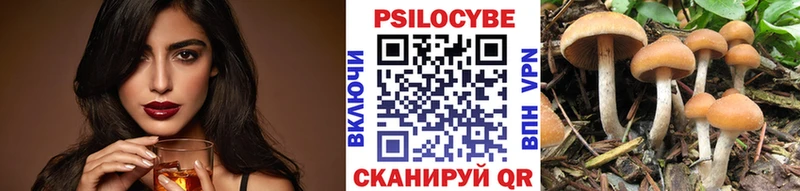 Псилоцибиновые грибы Cubensis  Усолье-Сибирское 
