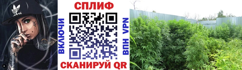 Каннабис Bruce Banner площадка Telegram Усолье-Сибирское ссылка на мегу